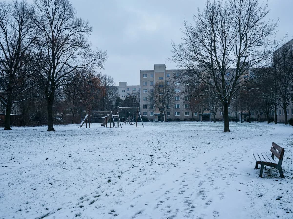 Dünne Neuschneedecke über Wiese und Weg, kahle alte Bäume, Fußspuren im Schnee